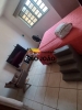 Imobiliária SÃO JOÃO 52 ANOS  