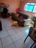 Imobiliária SÃO JOÃO 52 ANOS  